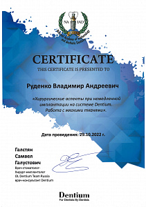 Руденко Владимир Андреевич: сертификаты и дипломы